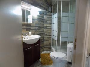Semi-Basement Apartment