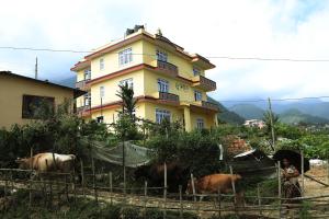 Green Eco Resort