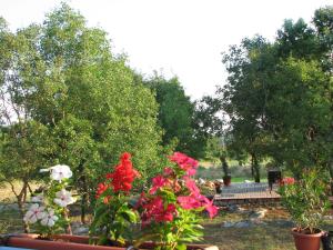 Campings Roulotte-Quinta : photos des chambres