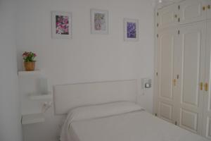 Beautiful Central Cadiz