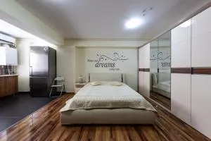 Luxury Radox Apartment Airport Bucharest - 奥托佩尼