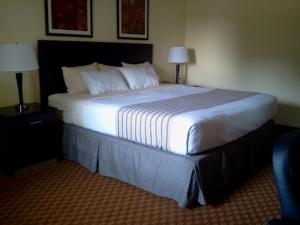 Queen Room - Disability Access/Non-Smoking room in Econo Lodge Inn & Suites Shamokin Dam - Selinsgrove