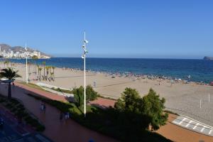 Montesol Primera Linea TRG