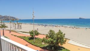 Montesol Primera Linea TRG