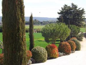 Maisons de vacances Demeure d'hotes et Mas Maurice : photos des chambres