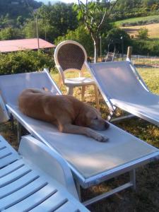 Agriturismo San Martino