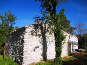 Villas Le mazet d'Uzes : photos des chambres