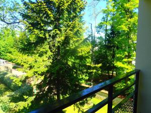 Appartements Le SUN DECK : photos des chambres