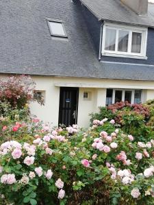 Maisons de vacances L'etoile CarVal : photos des chambres