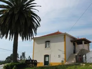 Casa da Palmeira - Calhariz