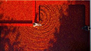 The Secret Pool Villas By The Library Koh Samui