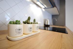 Cosy 1BD Apartment in Old Town by Domvia