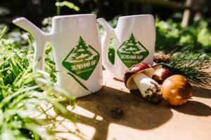 Hotel Zelenyy Bir Skhidnitsa Ukrajina