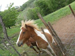 Hotels La ferme des Cevennes : photos des chambres