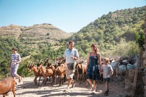 Hotels La ferme des Cevennes : photos des chambres