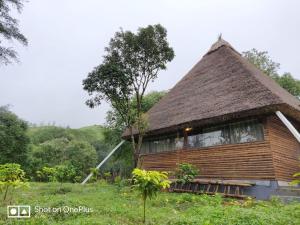 Hilltop Cottage Hidden Valley Coorg India Photos Room Rates