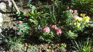 Wilka Pacha - Casas Serranas