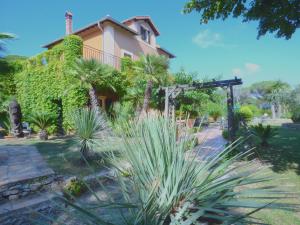 Villas Parasols : photos des chambres