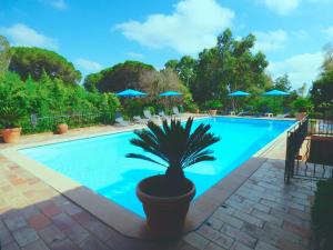 Villas Parasols : photos des chambres