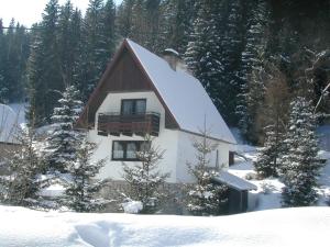 Chalet Helena