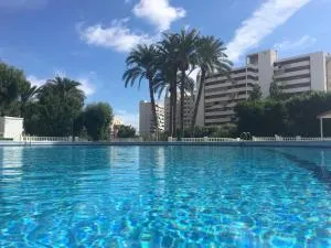 Family and Friends - San Juan Playa - Playa de San Juan