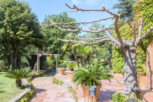 Villas Parasols : photos des chambres