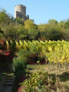 Hotels Hotel Les Remparts : photos des chambres