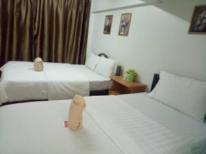 TT Hostel Chiangrai
