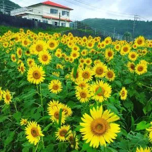 Guesthouse ＆ Beach Cafe Fuego - Tomitaka