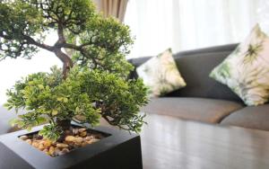 Zen Hillside Self Service Apartment