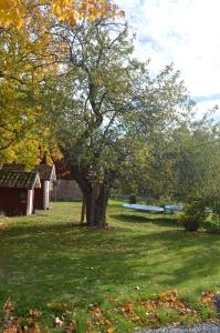 Deluxe Villa room in Ekengård