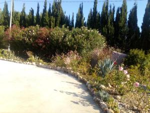 Il Giardino delle Rose A img66