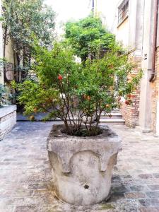 Appartamento Corte Bragadin