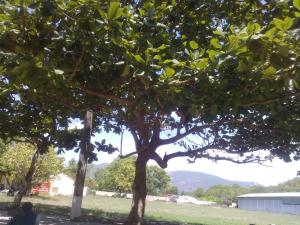 Nhà nghỉ Hạnh Minh