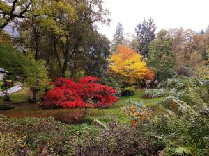 Invergloy Riverside Lodges