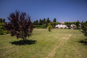 Maisons d'hotes La Bastide des Amouriers : photos des chambres