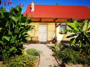 Ráday Apartman - Cenad