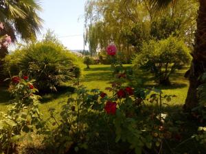 Apartmán Il Giardino delle Rose A Olmedo Itálie