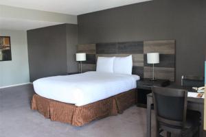 Queen Room room in Cozy Inn