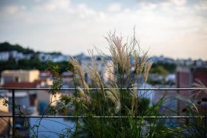 Apartment with Garden View room in The Foundry Suites