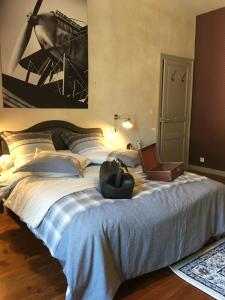 B&B / Chambres d'hotes Le Petit Chateau des Cedres : photos des chambres