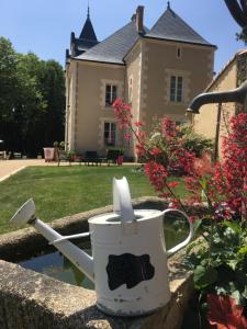 B&B / Chambres d'hotes Le Petit Chateau des Cedres : photos des chambres