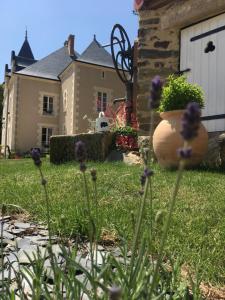 B&B / Chambres d'hotes Le Petit Chateau des Cedres : photos des chambres