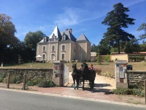 B&B / Chambres d'hotes Le Petit Chateau des Cedres : photos des chambres