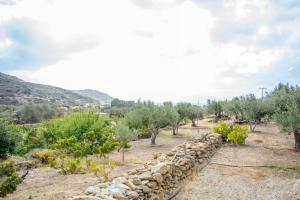 Perivoli House Ios Greece
