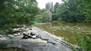 le moulin de froment photo 24