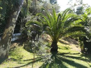 Villa Louisa Skiathos Greece