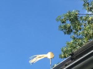 Fischer´s Häuschen