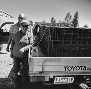 Gilgraves Vineyard Farmstay