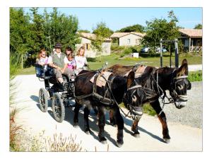 Campings Nature Holiday's Domaine du Pre - Officiel : photos des chambres